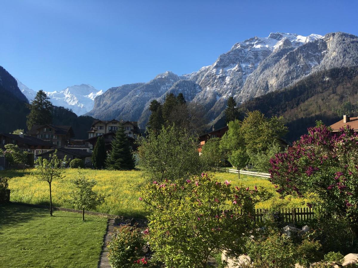 Holidayapartment Sydach Wilderswil Buitenkant foto